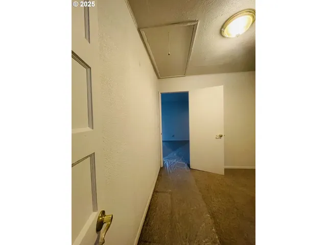 a view of a room with a tree and a plant