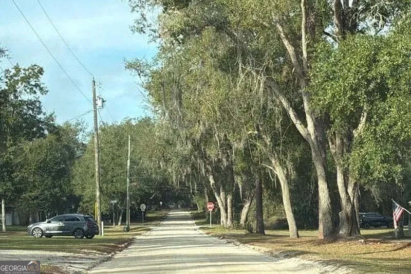 1340 West New York Avenue Orange City, FL 32763 - Photo 4 of 5 a view of a house with a yard and large trees