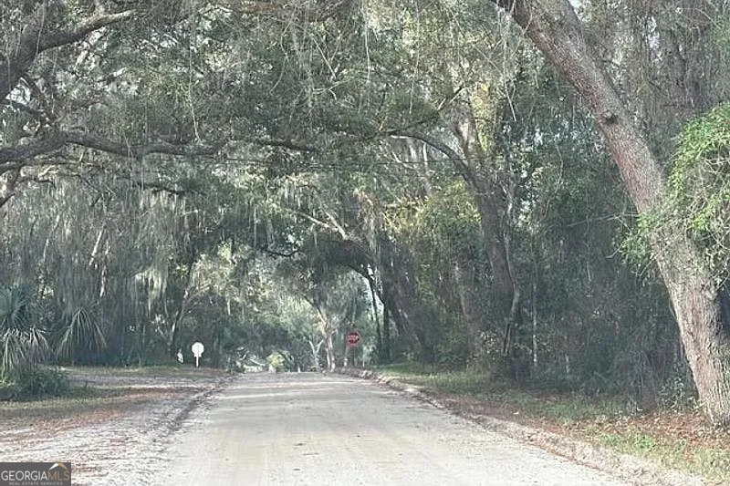 1340 West New York Avenue Orange City, FL 32763 - Photo 5 of 5 a view of a yard with large trees