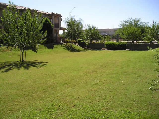 3150 East Beardsley Road, Unit 1100 Phoenix, AZ 85050 - Photo 3 of 6 Additional Photo