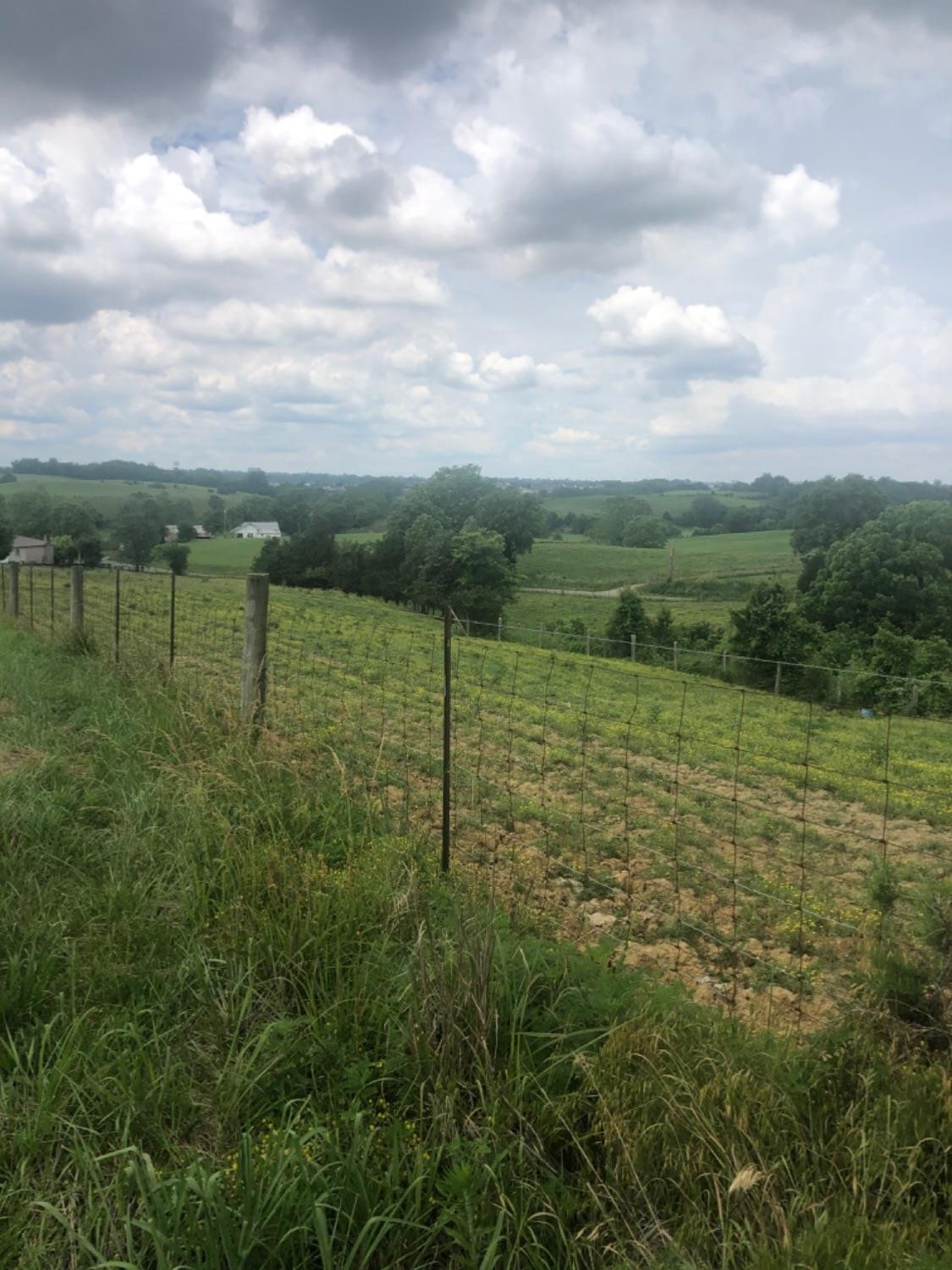 319 Concord Road Richmond, KY 40475 - Photo 1 of 7 Photo 1