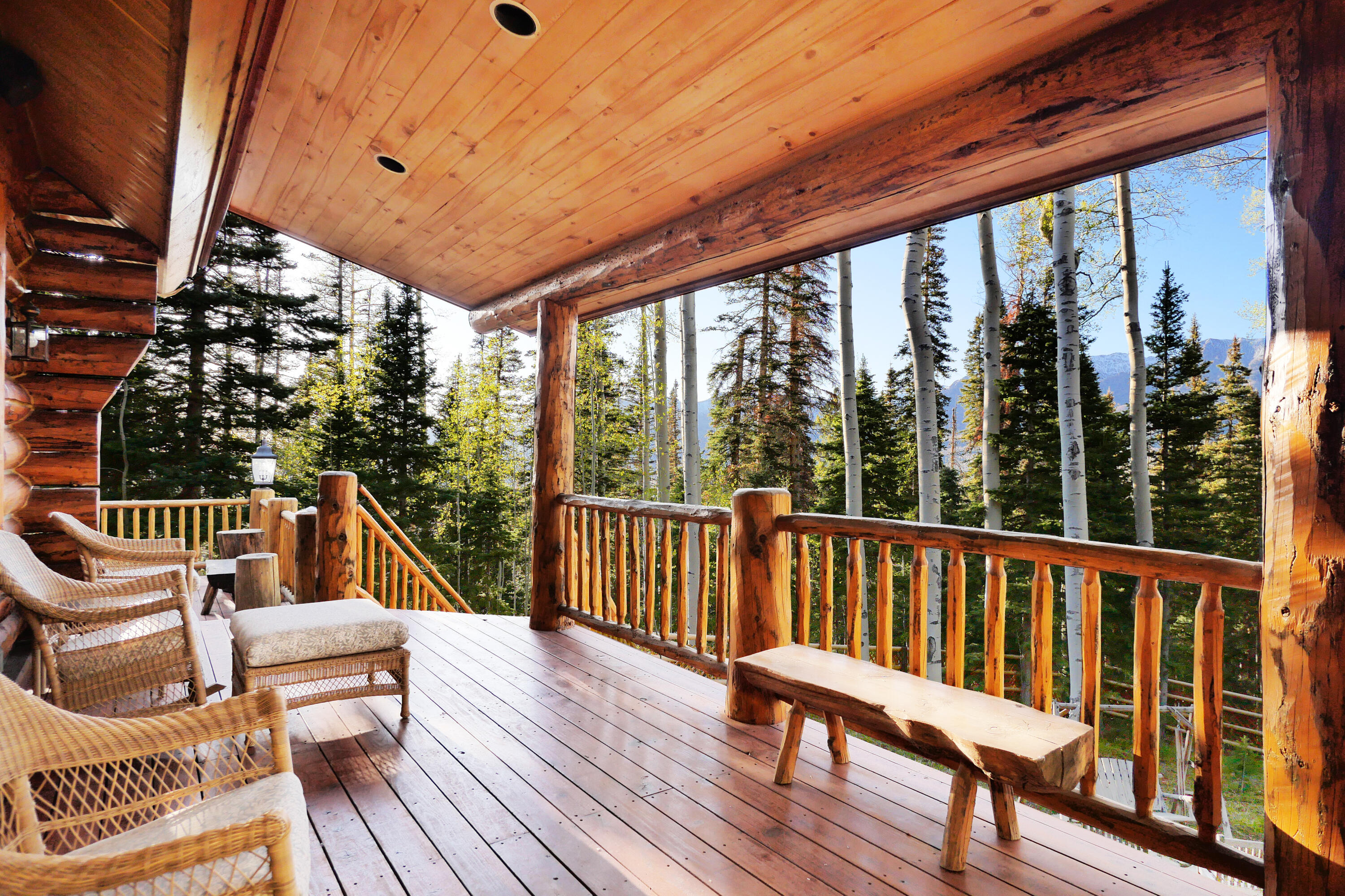 429 Fox Farm Road Telluride, CO 81435 - Photo 20 of 49 Cocktail Deck