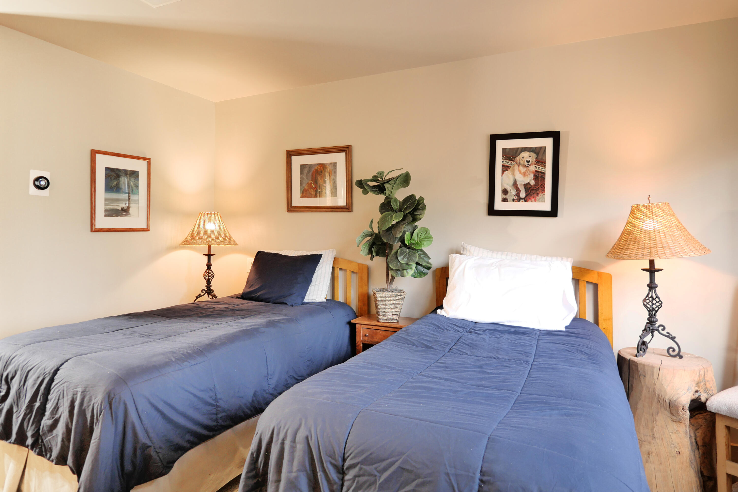 429 Fox Farm Road Telluride, CO 81435 - Photo 30 of 49 BR 2 - Twin Beds