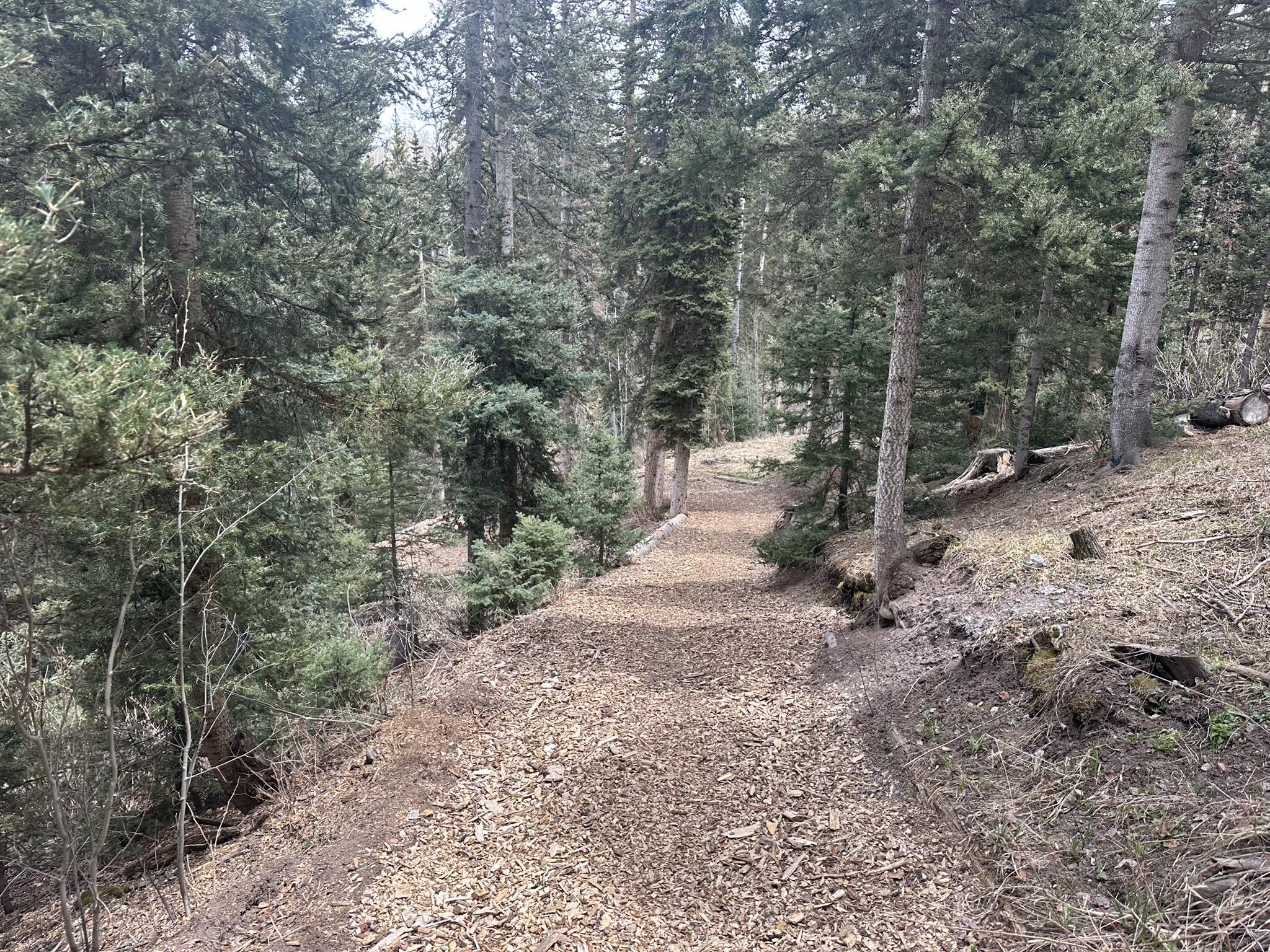 429 Fox Farm Road Telluride, CO 81435 - Photo 45 of 49 More Snowshoe Trail