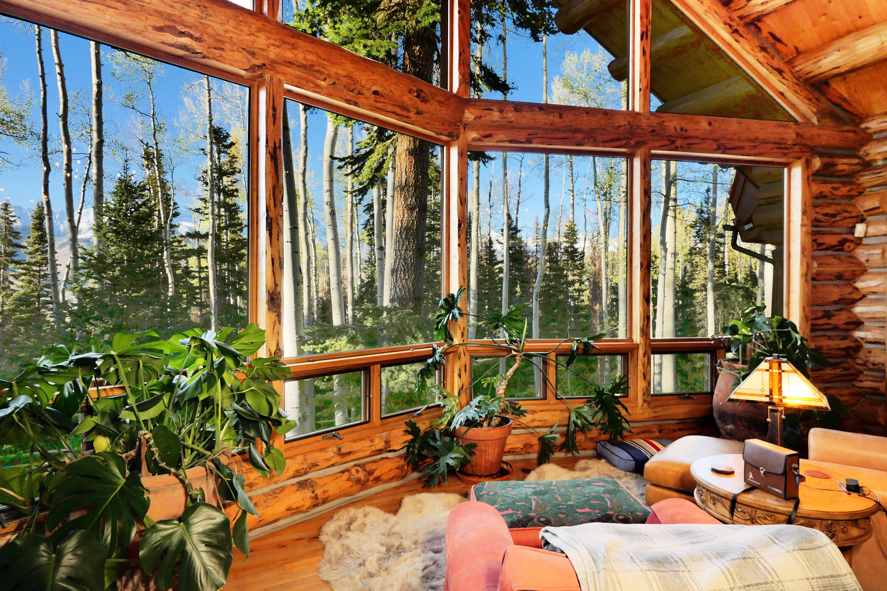 429 Fox Farm Road Telluride, CO 81435 - Photo 9 of 49 Great Room View NE