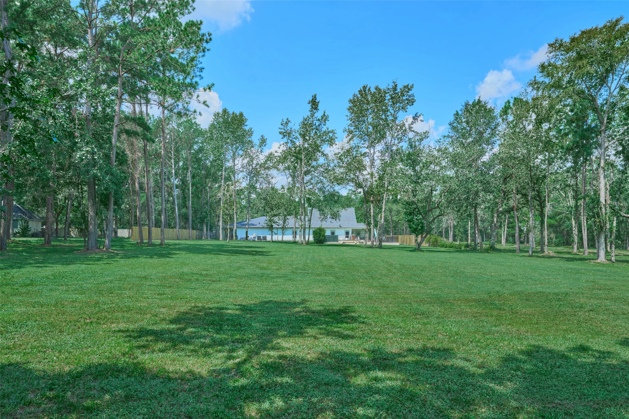 2218 Honea Egypt Road Magnolia, TX 77354 - Photo 9 of 50 Expansive 2.3-acre property enveloped by mature trees offering privacy and tranquility.