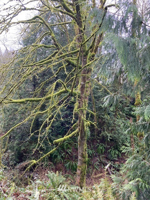 7991 Parker Road Sedro-Woolley, WA 98284 - Photo 13 of 18 Gallery Image 13