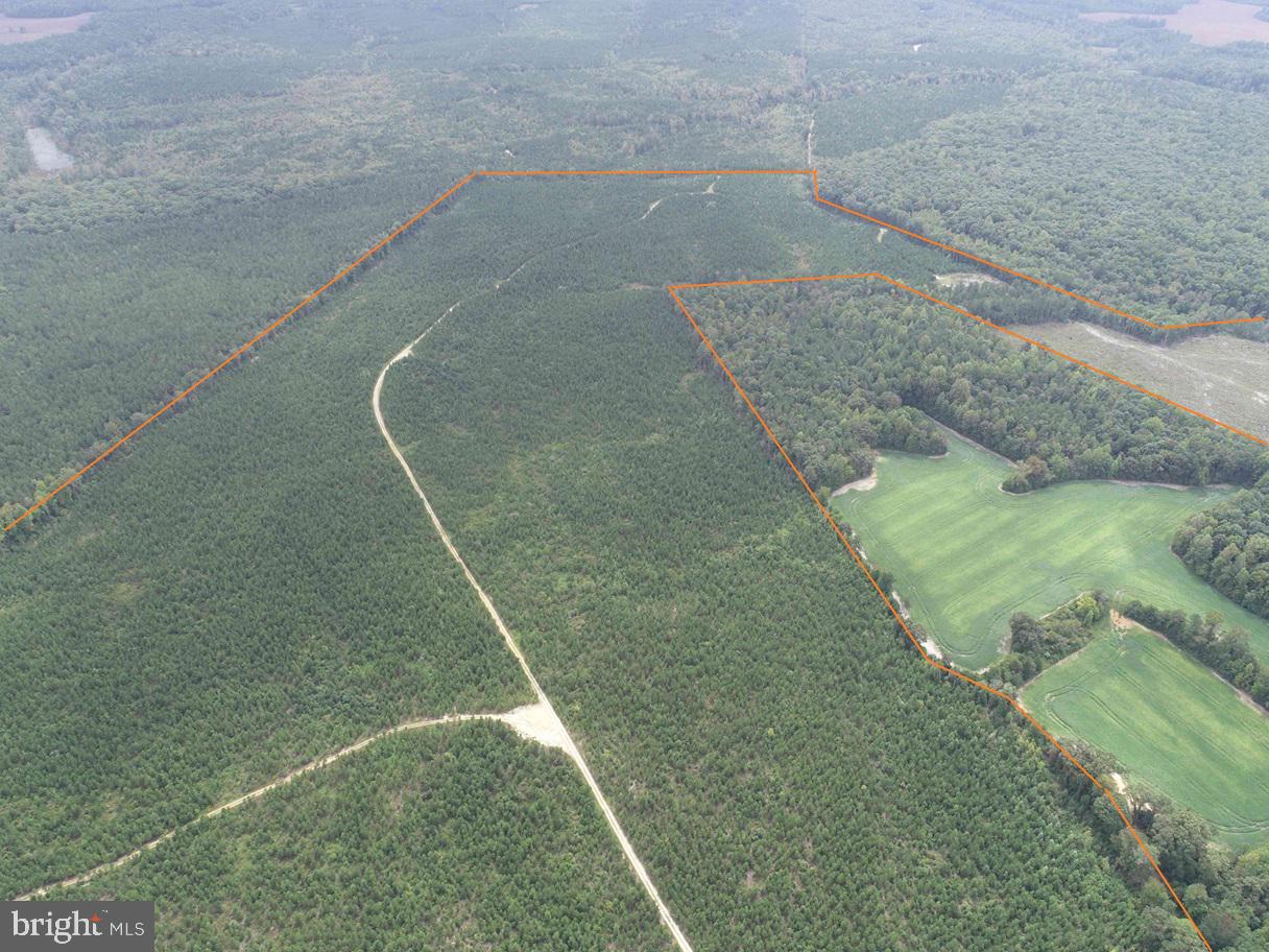 Bethlehem Road Champlain, VA 22438 - Photo 3 of 10 a view of a dry yard