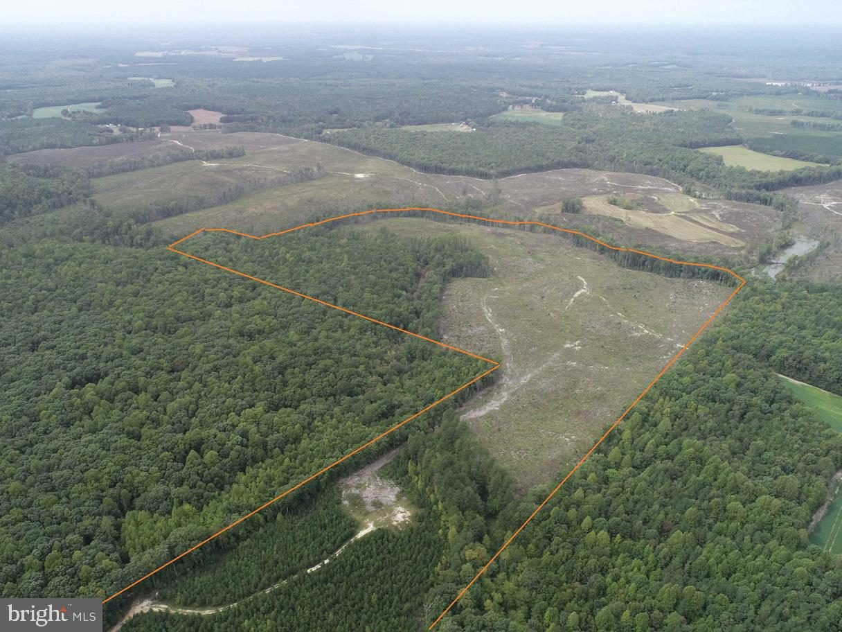 Bethlehem Road Champlain, VA 22438 - Photo 4 of 10 an aerial view of residential houses with outdoor space