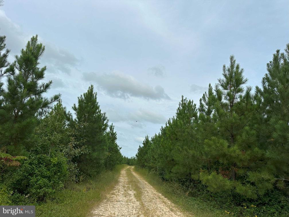 Bethlehem Road Champlain, VA 22438 - Photo 10 of 10 a view of lake with green space