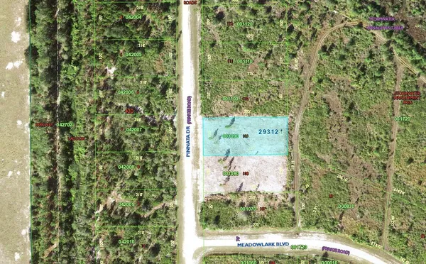 $19,900 | 0 Pinnata Dr Lake, Frostproof, FL 33843