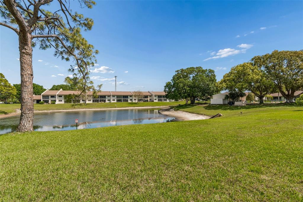 7828 Radcliffe Circle Port Richey, FL 34668 - Photo 38 of 65 Gallery Image 38