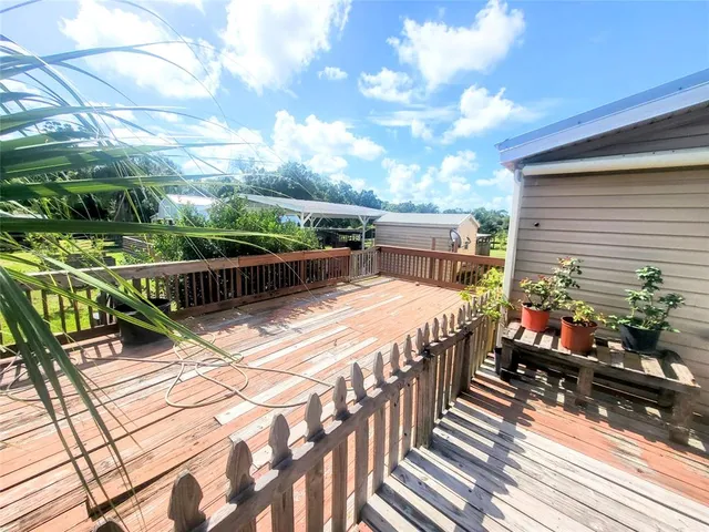 a swimming pool with plants and large trees