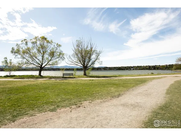 a park with large trees