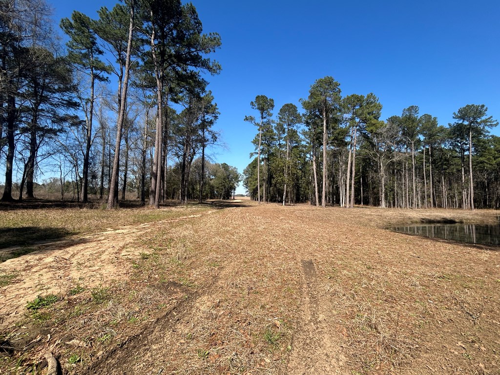 15-ac Webb Road Dothan, AL 36301 - Photo 26 of 33
