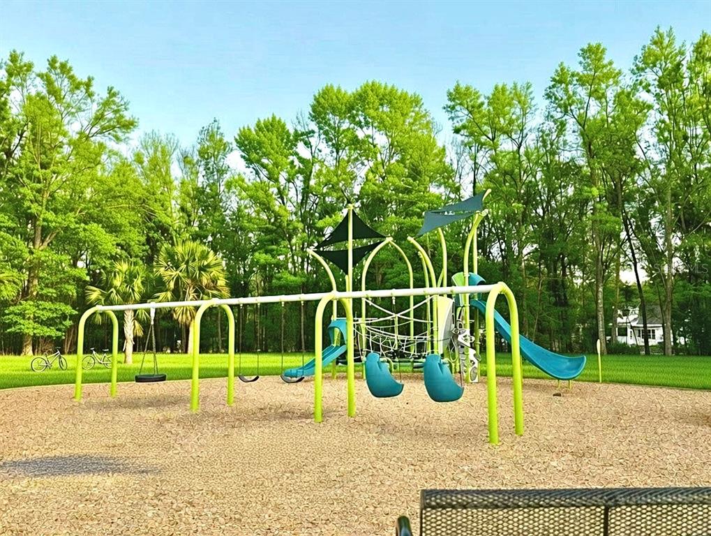 3048 Bethpage Loop Mount Dora, FL 32757 - Photo 49 of 55
