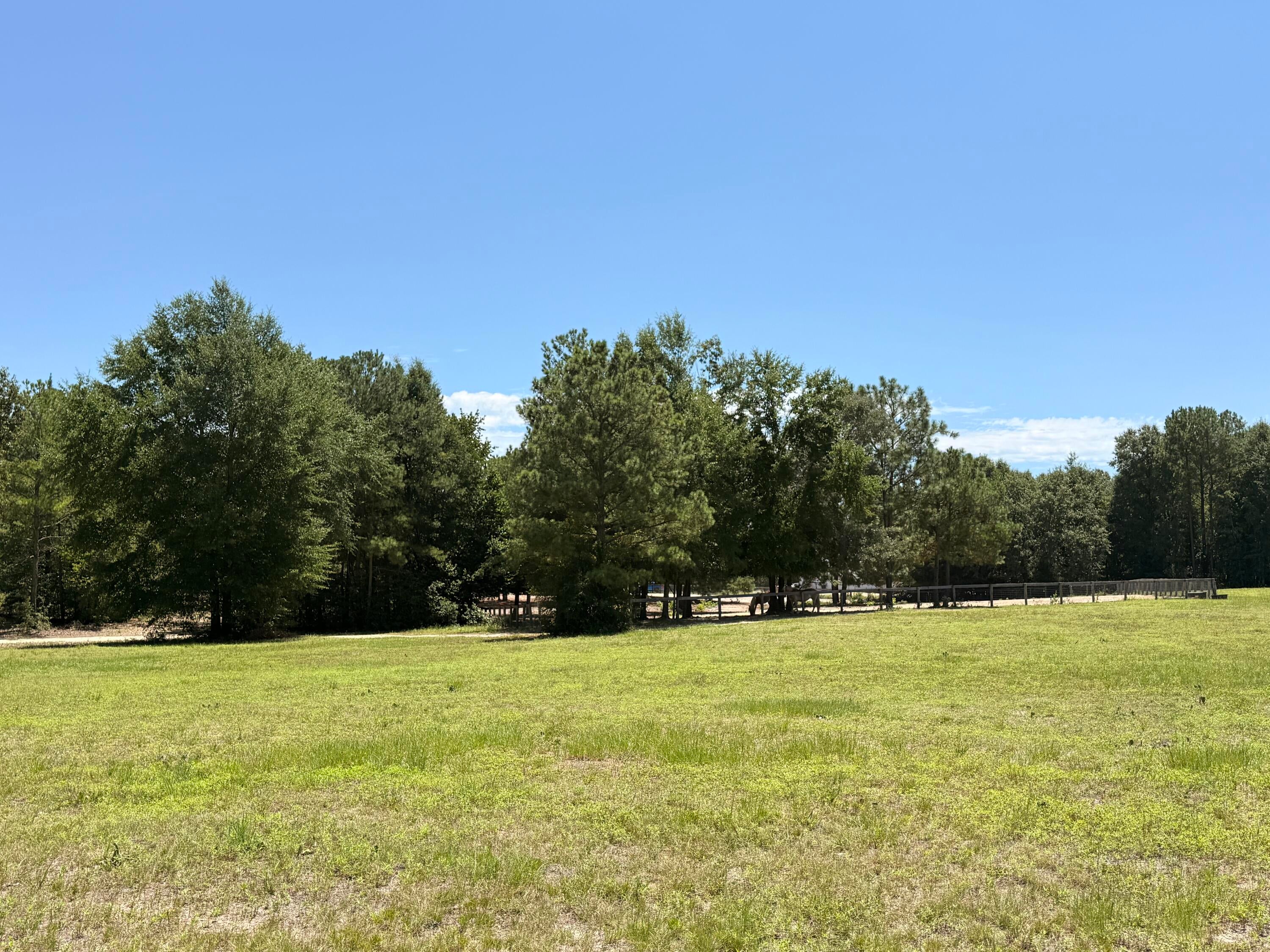 670 North Windsor Road Windsor, SC 29856 - Photo 29 of 46 Gallery Image 29