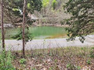 Flat Hollow Road Speedwell, TN 37870 - Photo 1 of 16 Flat Hollow Rd (7)