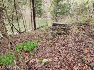Flat Hollow Road Speedwell, TN 37870 - Photo 13 of 16 Flat Hollow Rd (11)
