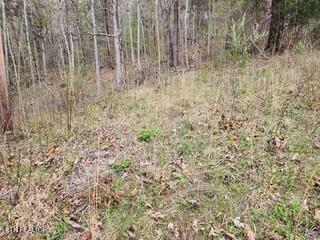 Flat Hollow Road Speedwell, TN 37870 - Photo 14 of 16 Flat Hollow Rd (12)