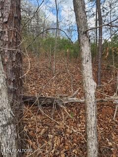 Flat Hollow Road Speedwell, TN 37870 - Photo 15 of 16 Flat Hollow Rd.