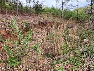 Flat Hollow Road Speedwell, TN 37870 - Photo 16 of 16 Flat Hollow Rd (8)