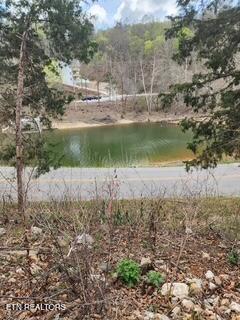 Flat Hollow Road Speedwell, TN 37870 - Photo 2 of 16 Flat Hollow Rd