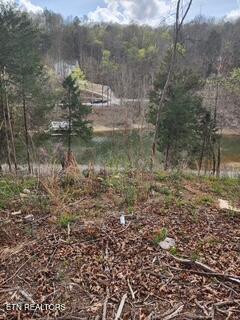 Flat Hollow Road Speedwell, TN 37870 - Photo 5 of 16 Flat Hollow Rd.