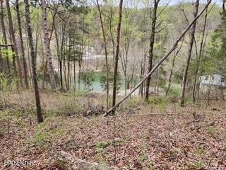 Flat Hollow Road Speedwell, TN 37870 - Photo 7 of 16 Flat Hollow Rd (13)