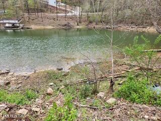 Flat Hollow Road Speedwell, TN 37870 - Photo 10 of 16 Flat Hollow Rd (16)