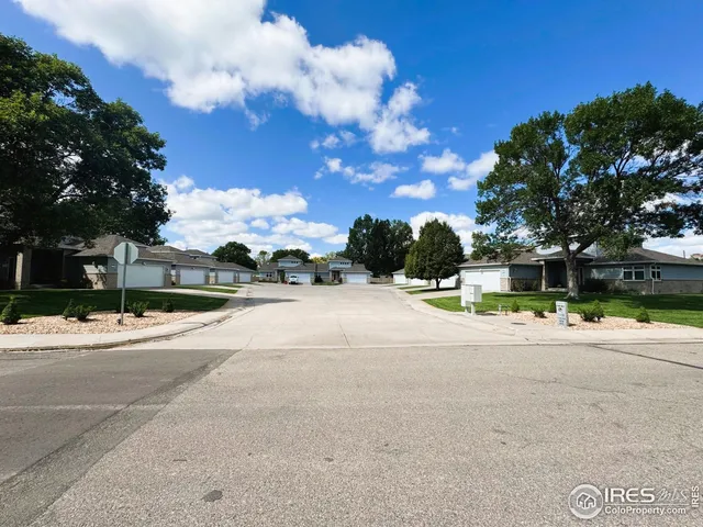 a view of road with large trees