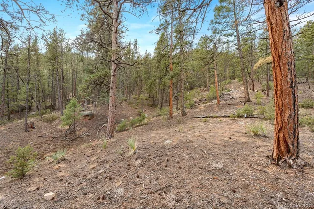 $1,099,000 | 29004 Amerind Springs Trail, Pine, CO 80470