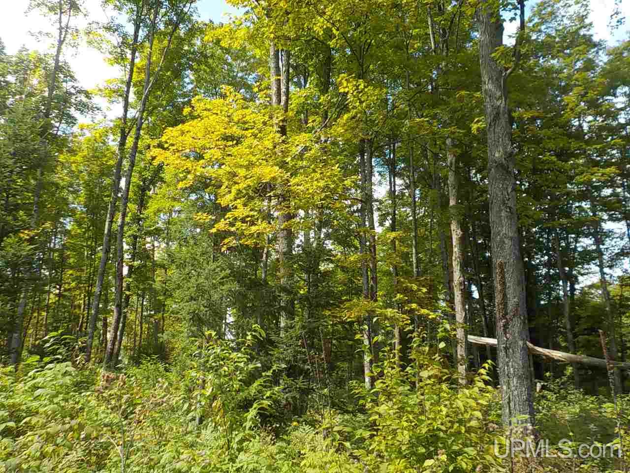 80-ac Mcclaren Road Crystal Falls, MI 49920 - Photo 9 of 27