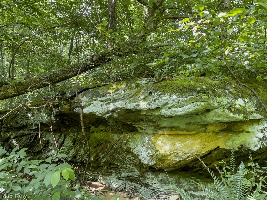 Ginger Road Freeport, OH 43973 - Photo 20 of 35