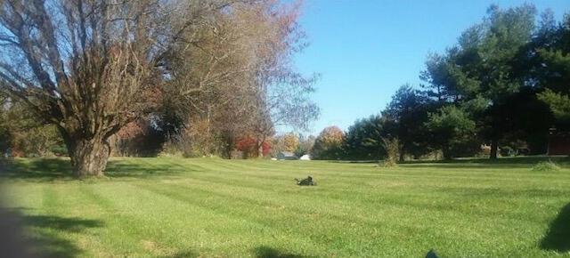 3999 Gilbert Road Centerburg, OH 43011 - Photo 36 of 58 IMG_8699