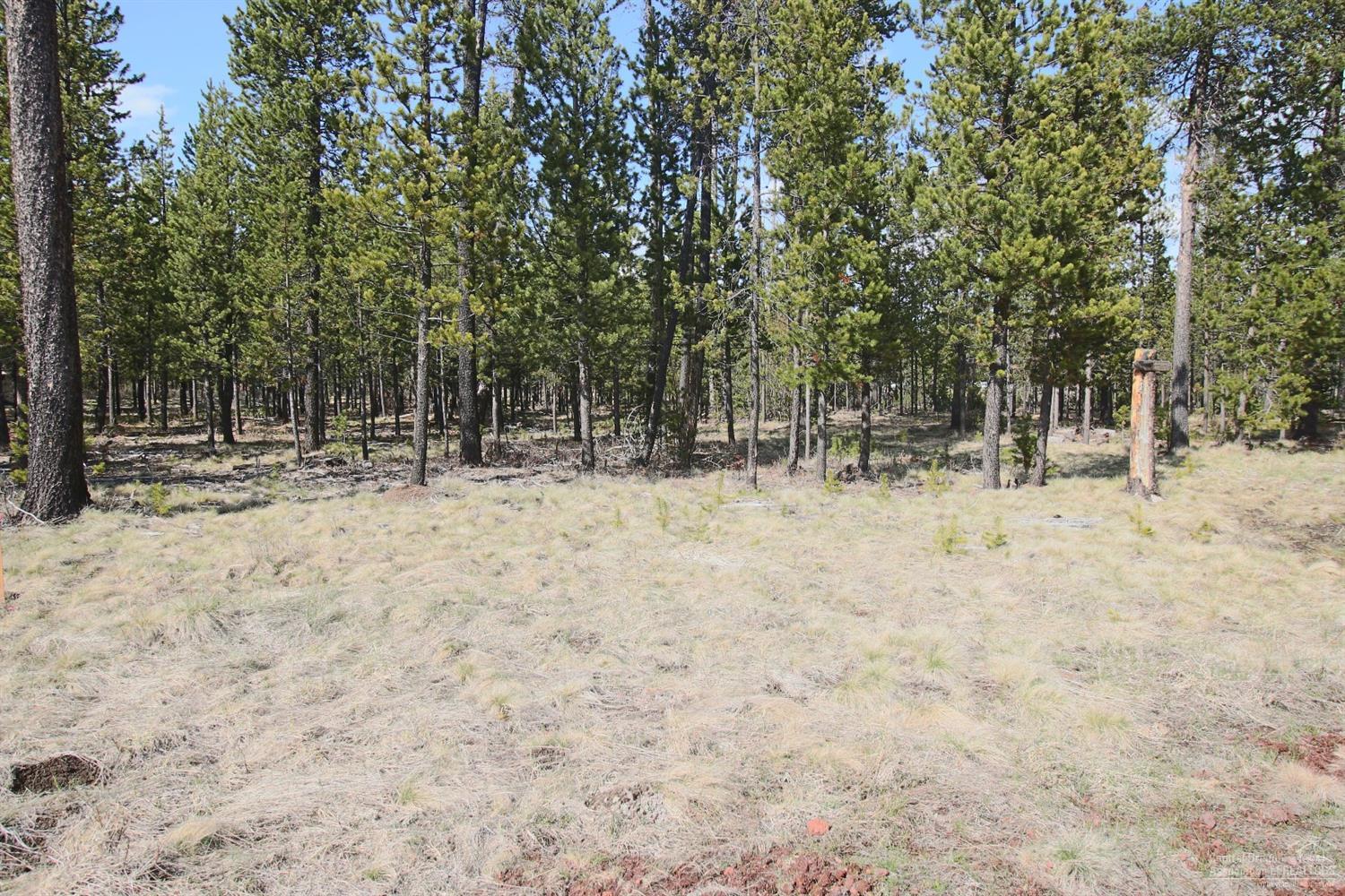 17164 Indio Road Bend, OR 97707 - Photo 1 of 6 Primary Photo