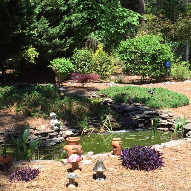 45 Burning Tree Road Pinehurst, NC 28374 - Photo 24 of 25 Koi Pond