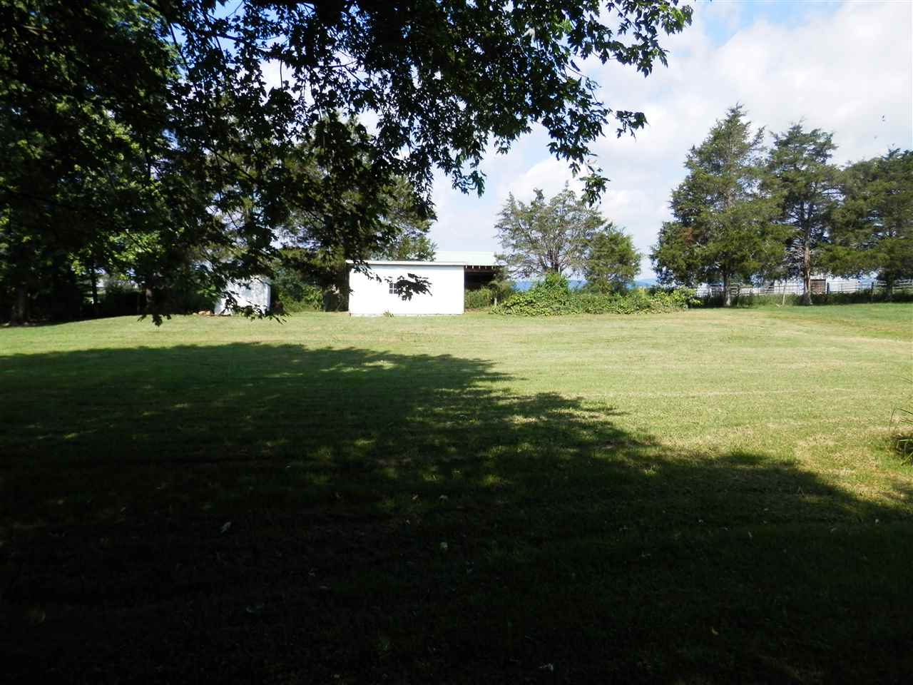 585 Rittenour Road Edinburg, VA 22824 - Photo 5 of 18 a view of a field of grass and trees
