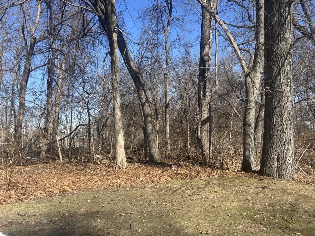 0 Marsden Street Springfield, MA 01109 - Photo 3 of 6 a backyard of a house with lots of green space