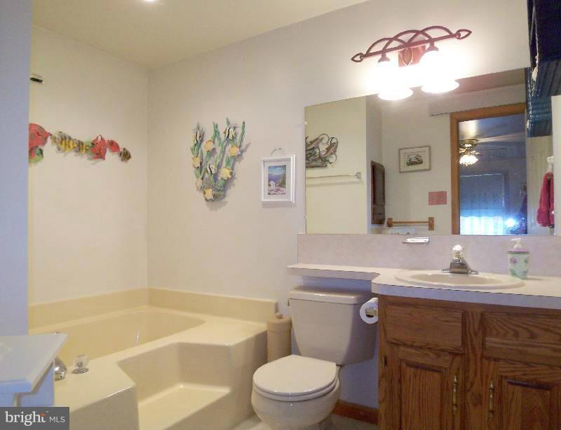 4149 Highland Ridge Road Berkeley Springs, WV 25411 - Photo 16 of 26 Bath (Master)