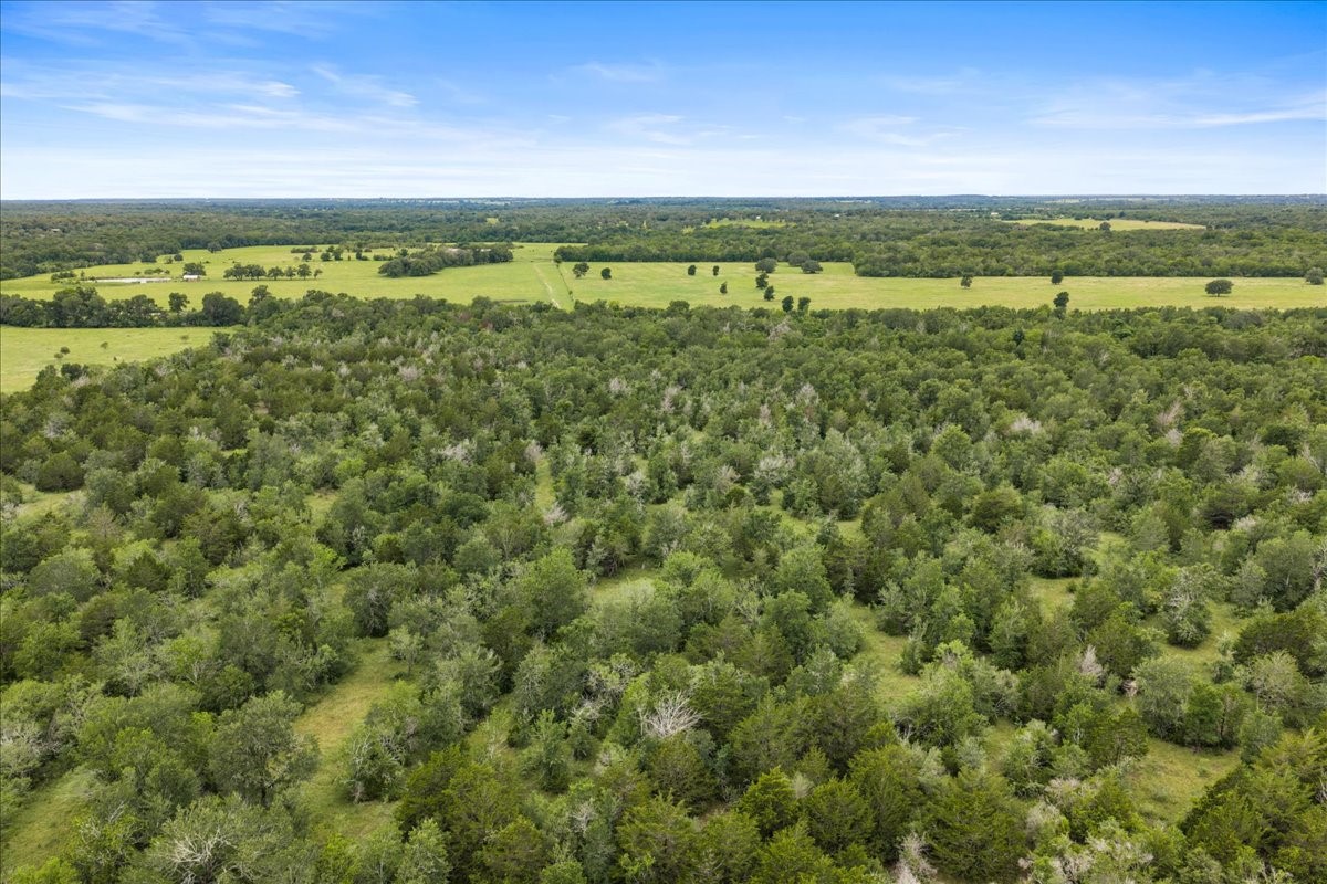 288 Charcoal Road Rosanky, TX 78953 - Photo 3 of 23 a view of an outdoor space with a lake view