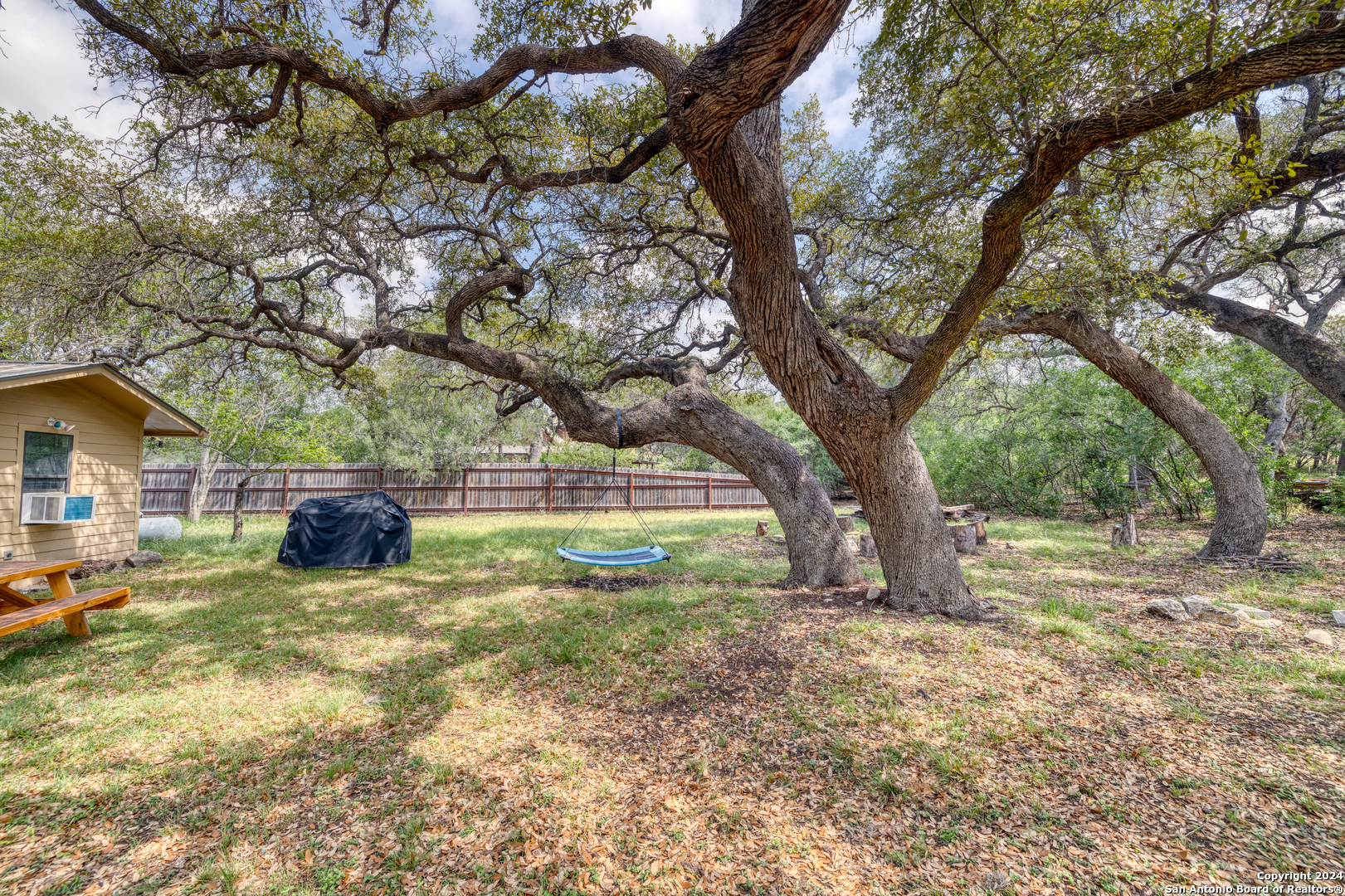 577 Mariposa Concan, TX 78838 - Photo 4 of 39 a view of backyard with large trees and wooden fence