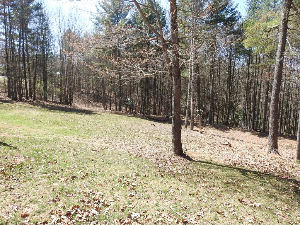 3185 Fries Road Galax, VA 24333 - Photo 36 of 38 Gallery Image 36