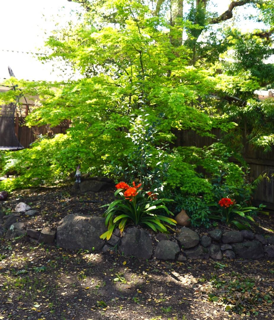 3538 Oak Drive Menlo Park, CA 94025 - Photo 20 of 20 a backyard of a house