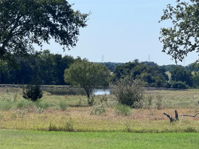 a view of a yard with large trees