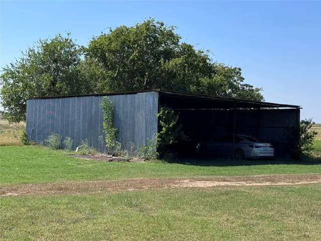 a view of garden with tall trees