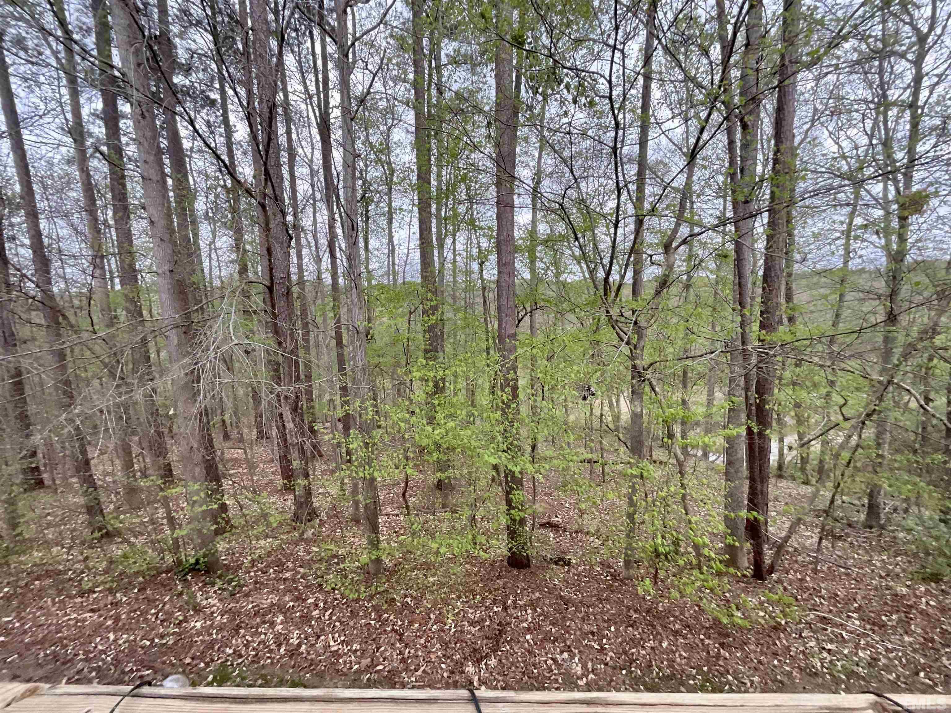 180 Cedar Elm Road Durham, NC 27713 - Photo 19 of 20 Gallery Image 19