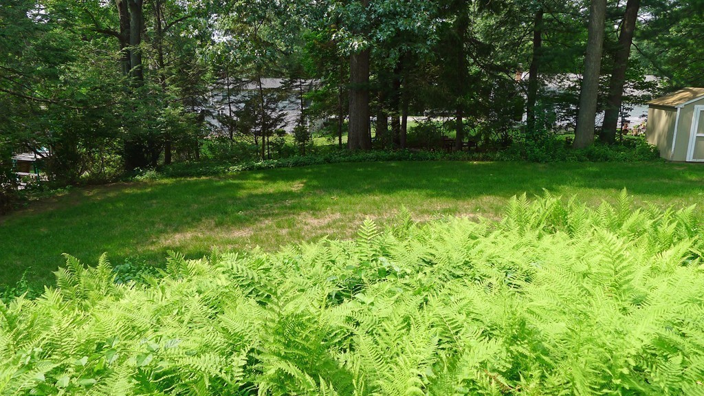 271 Newton Road Springfield, MA 01118 - Photo 26 of 30