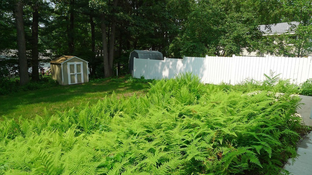 271 Newton Road Springfield, MA 01118 - Photo 27 of 30