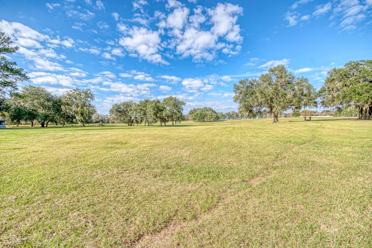 1161 Northwest Jersey Road Madison, FL 32340 - Photo 31 of 37